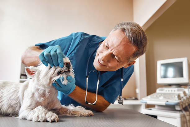 Best Walk-In Emergency Dental Services in Early, TX